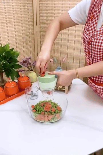 4-in-1 Handheld Electric Vegetable Slicer & Garlic Chopper | Wireless USB Food Processor