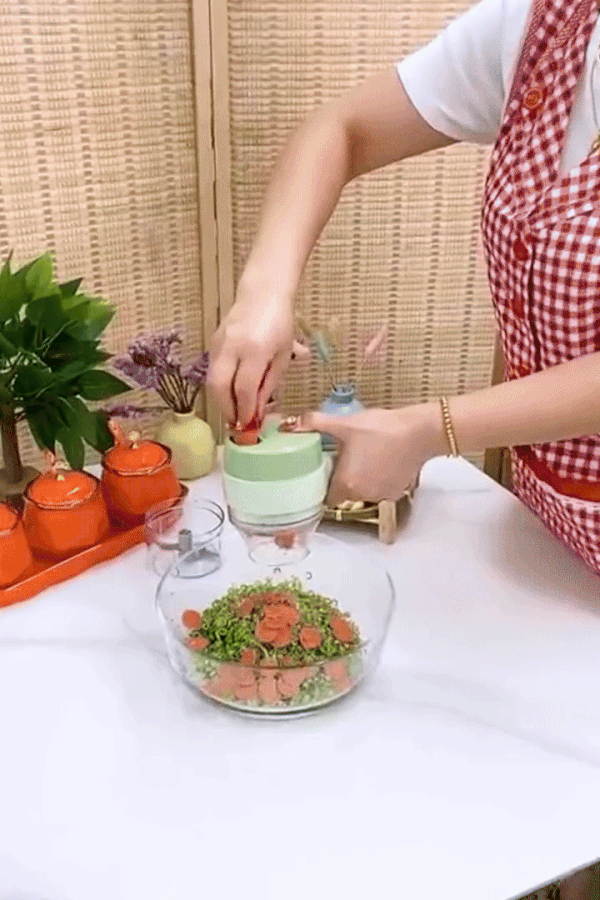 4-in-1 Handheld Electric Vegetable Slicer & Garlic Chopper | Wireless USB Food Processor